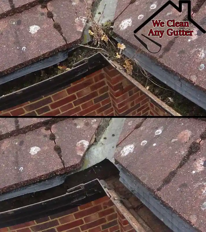 before and after Bookham gutter clearance  