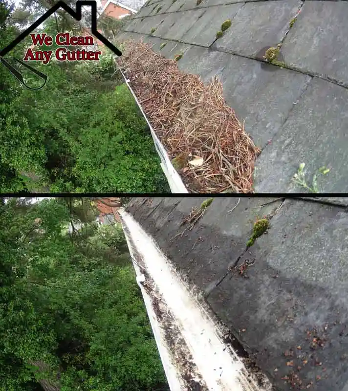 before and after Claygate gutter clearance  