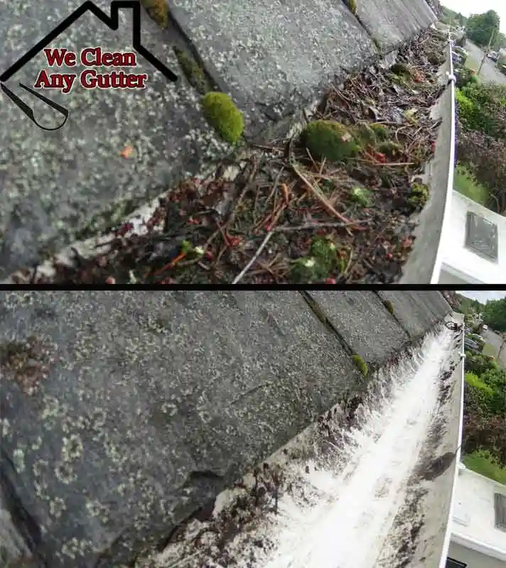 before and after Cobham gutter clearance  