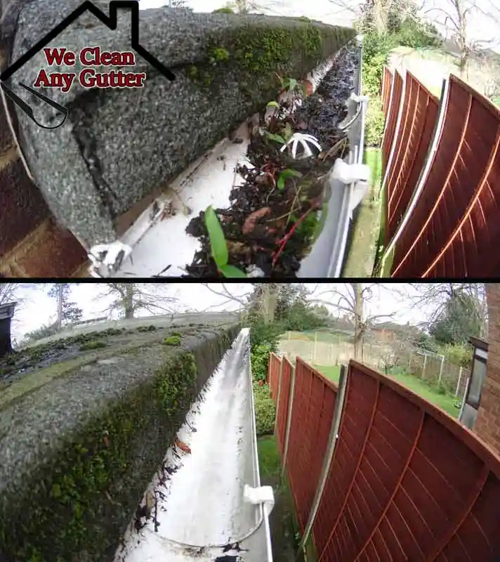 before and after Croydon gutter clearance  