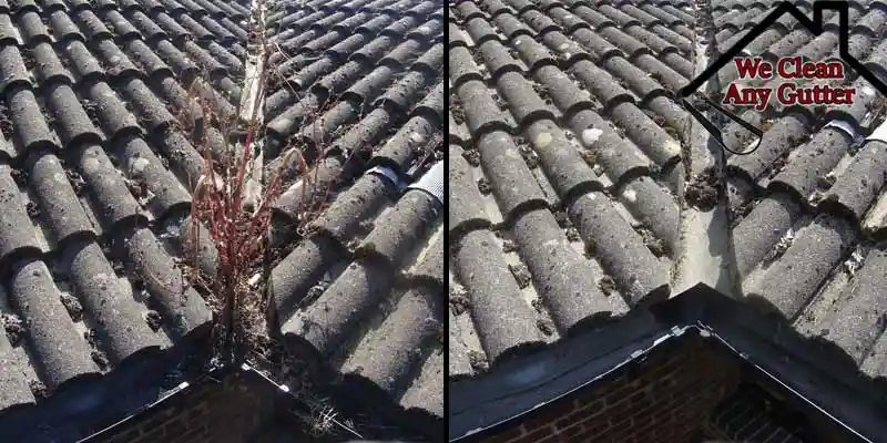 East Sussex gutter cleaning 