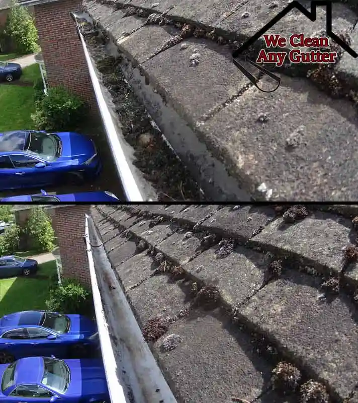 before and after Eastbourne gutter clearance  