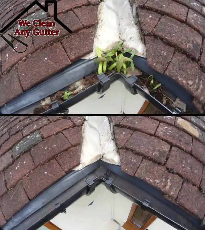 before and after Epsom gutter clearance  
