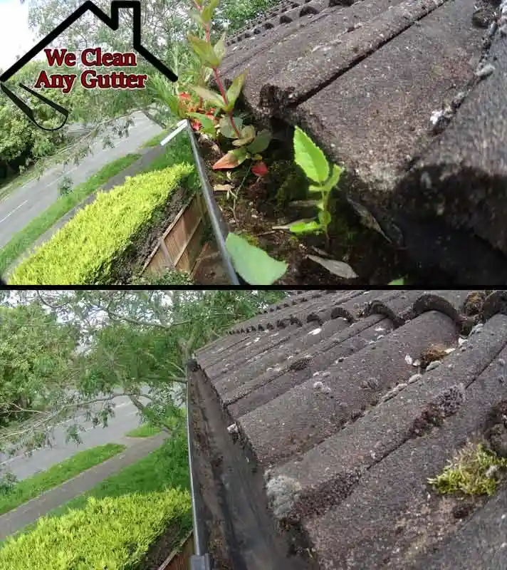 before and after Farnham gutter clearance  