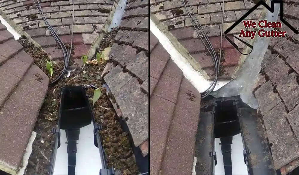 gutter vacuum cleaning