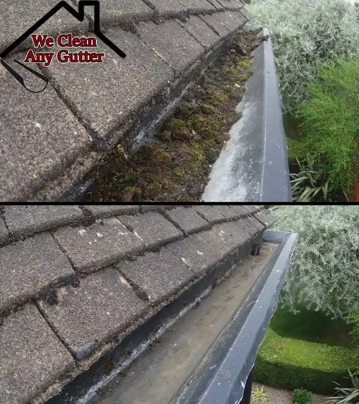 before and after Bookham gutter clearance  