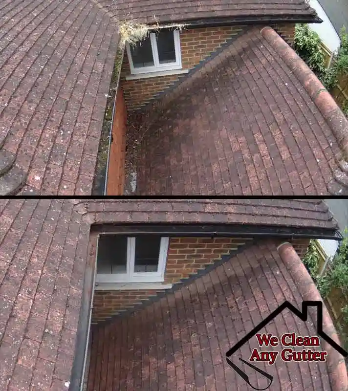 before and after Hampton gutter clearance  
