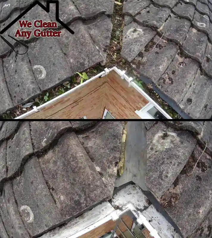 before and after Redhill gutter clearance  