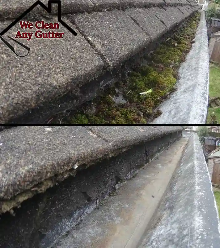 before and after Bookham gutter clearance  