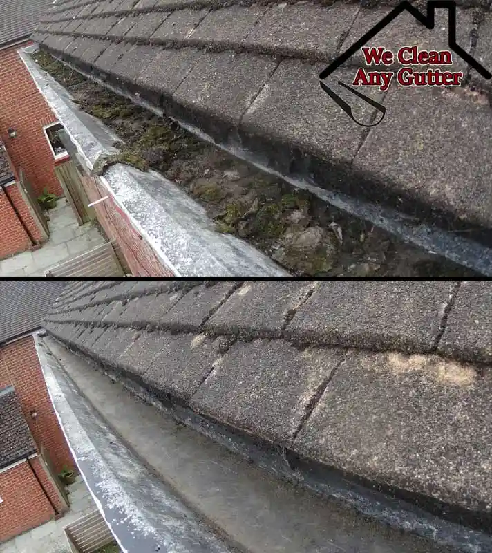 before and after Bookham gutter clearance  