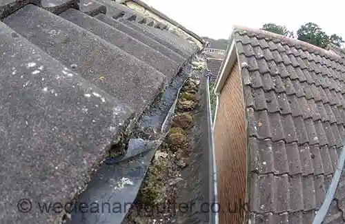 Colliers Wood gutter cleaning 