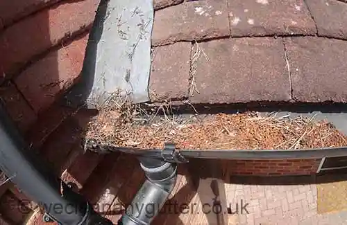 Coulsdon gutter cleaning 