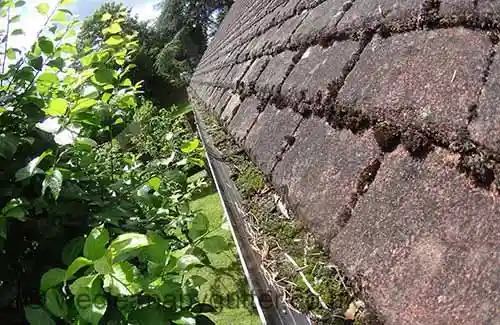 Esher gutter cleaning 