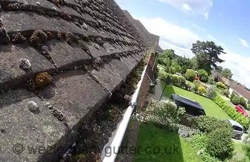 Raynes Park gutter cleaning 