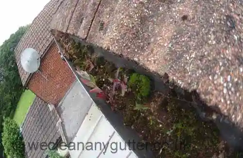 Saltdean blocked gutter