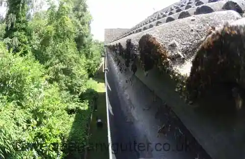 Steyning- gutter cleaning 