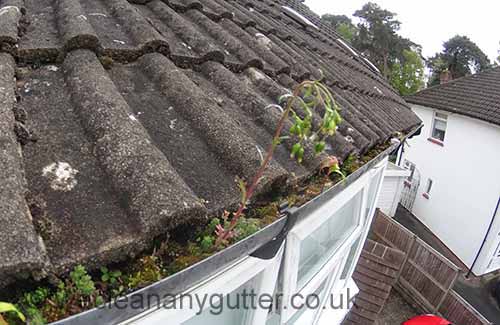 Bookham blocked gutter