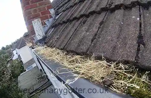 Walton-on-Thames gutter cleaning 