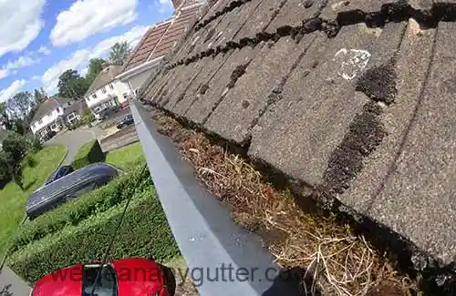 Woking gutter cleaning 
